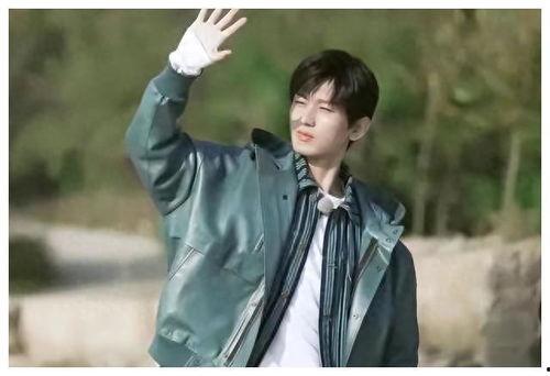 直播成毅爆料最新消息视频,最新动态与幕后故事大公开