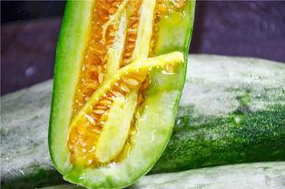 吃瓜网红的网站叫啥,揭秘热门话题背后的秘密 第3张 吃瓜网红的网站叫啥,揭秘热门话题背后的秘密 第3张